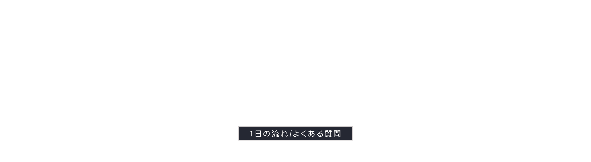 1日の流れ/よくある質問